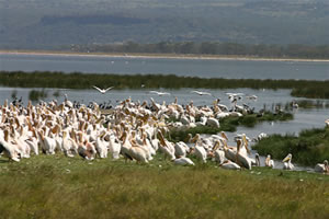 kazinga-channel