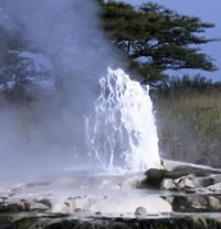 Semiliki Hot Springs
