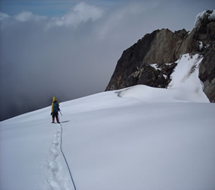 Hiking Rwenzori Tour