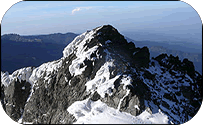 Mount Rwenzori Hike