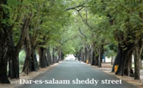 dar-es-salaam-city