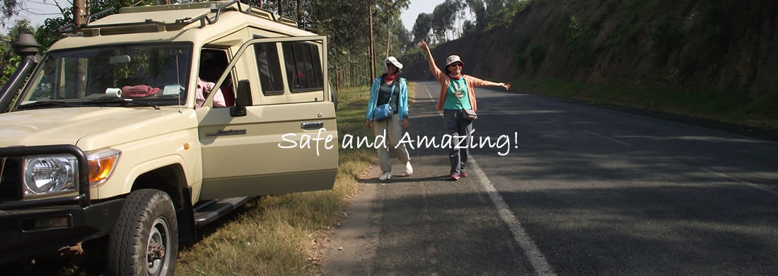 Safe Safari Vehicles