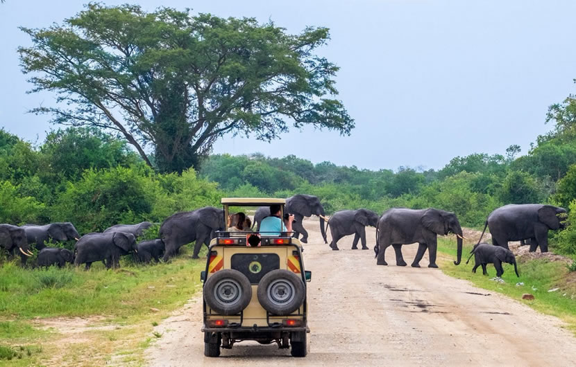 Game Viewing Safari Vehicle in Uganda