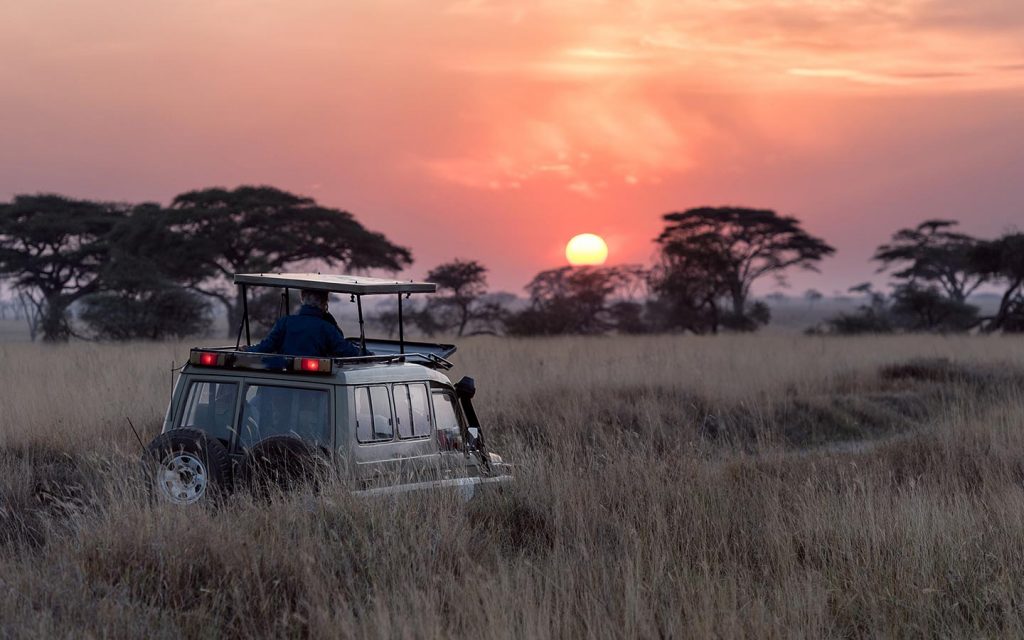 Night Game Drive