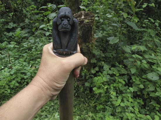 Gorilla Trekking Stick